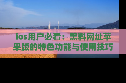 ios用户必看：黑料网址苹果版的特色功能与使用技巧详解