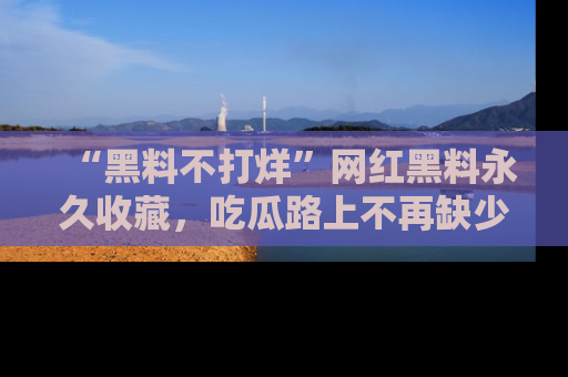 “黑料不打烊”网红黑料永久收藏,吃瓜路上不再缺少惊喜与乐趣