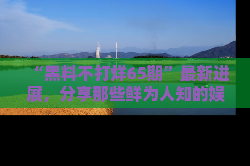 “黑料不打烊65期”最新进展,分享那些鲜为人知的娱乐八卦