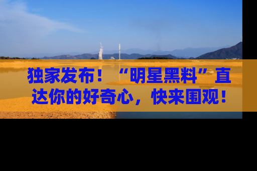 独家发布！“明星黑料”直达你的好奇心，快来围观！
