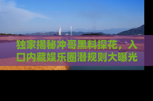 独家揭秘冲哥黑料探花，入口内藏娱乐圈潜规则大曝光