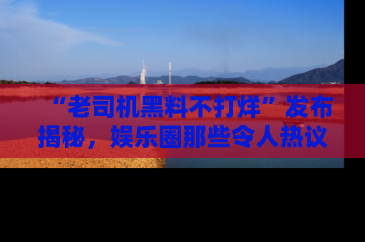 “老司机黑料不打烊”发布揭秘,娱乐圈那些令人热议的黑暗秘密!