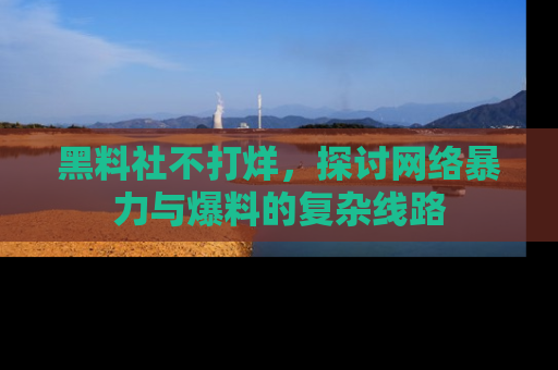 黑料社不打烊，探讨网络暴力与爆料的复杂线路