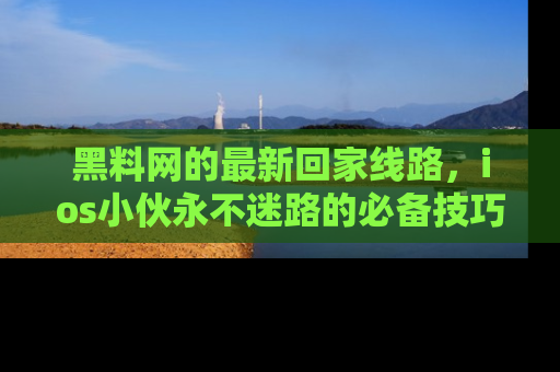 黑料网的最新回家线路，ios小伙永不迷路的必备技巧！