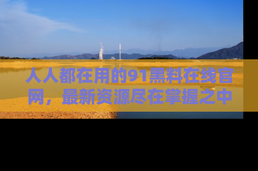 人人都在用的91黑料在线官网，最新资源尽在掌握之中