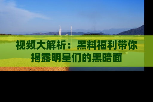 视频大解析：黑料福利带你揭露明星们的黑暗面