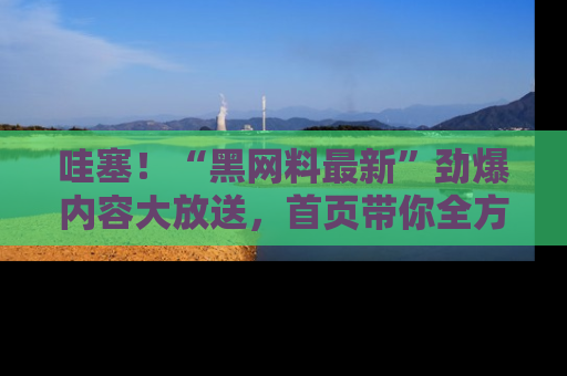 哇塞！“黑网料最新”劲爆内容大放送，首页带你全方位了解哦，小可爱们